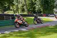 cadwell-no-limits-trackday;cadwell-park;cadwell-park-photographs;cadwell-trackday-photographs;enduro-digital-images;event-digital-images;eventdigitalimages;no-limits-trackdays;peter-wileman-photography;racing-digital-images;trackday-digital-images;trackday-photos